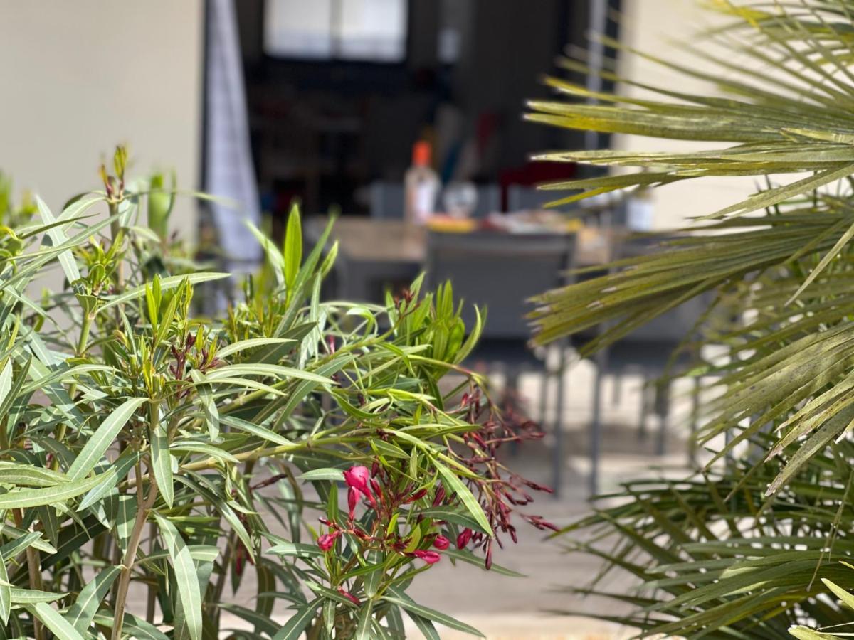 Villa Moderne Avec Spa A Montalivet Vensac Екстер'єр фото